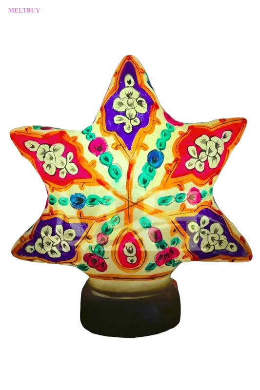 star-shape-camel-skin-lamp-multicolor-hand-painted-decorative-337 | MELTBUY